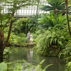 Jurassic Jamboree: a dinosaur wedding with tacos, T-Rex heels, and a golden claw