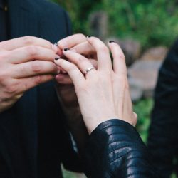 A Muppet officiated this cliffside New York wedding with a killer black dress