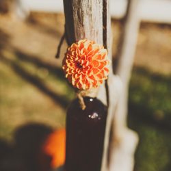 Sylvia Sylvia Ryan Horban Photography TravisGia52 low - You won't have seen anything like this rustic costume wedding with a pancake cake You won't have seen anything like this rustic wedding with a pancake cake