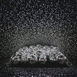 Art meets science at a wonderfully weird wedding