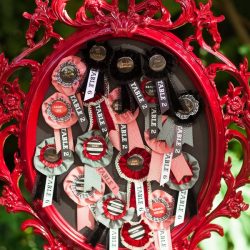 Rose Weever TréCreativeFilmPhoto 149Photography20by20TrC3A9Creative202811220of29 low - You NEED to see this vintage circus wedding that wins every ribbon A vintage circus-themed wedding that wins every ribbon