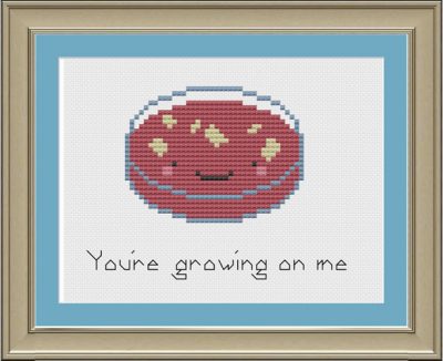 petri dish crosstitch from nerdylittlestitcher on offbeatbride - Weddings: the petri dish of family drama petri dish crosstitch from nerdylittlestitcher on offbeatbride