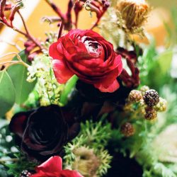010 bouquet portra film - A frostbitten Canadian national park elopement (with bison!) A frostbitten Canadian national park elopement (with bison!)