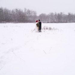 035 bri and dale family - A frostbitten Canadian national park elopement (with bison!) A frostbitten Canadian park elopement (with bison!)