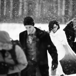 037 bri and dale - A frostbitten Canadian national park elopement (with bison!) A frostbitten Canadian park elopement (with bison!)