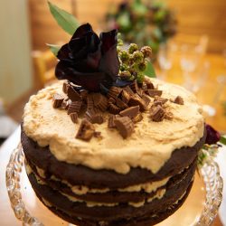 075 peanut butter cake - A frostbitten Canadian national park elopement (with bison!) A frostbitten Canadian park elopement (with bison!)