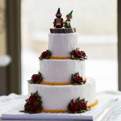 A Renaissance fantasy Christmas wedding (aka "A Lord of the Rings Christmas Special!")