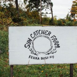 MG 2458 - A New York farm-to-table wedding at the couple's own farm MG 2458