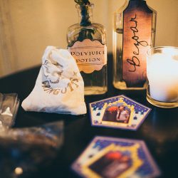 sera x john 222 32216455906 o - From Hogwarts to NYC: a Brooklyn Harry Potter wedding From Hogwarts to NYC: a Brooklyn Harry Potter wedding