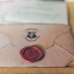 sera x john 224 31413312984 o - From Hogwarts to NYC: a Brooklyn Harry Potter wedding From Hogwarts to NYC: a Brooklyn Harry Potter wedding