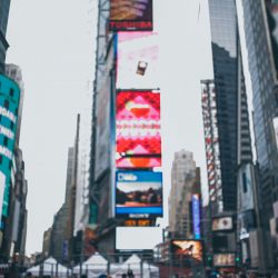 sera x john 565 32105363712 o - From Hogwarts to NYC: a Brooklyn Harry Potter wedding From Hogwarts to NYC: a Brooklyn Harry Potter wedding