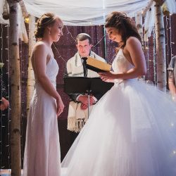 Trapeze, tulle, and two ladies at a gorgeous Seattle wedding