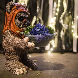 This couple destroyed the Death Star at their Star Wars vow renewal!