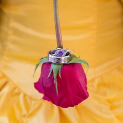 StefanieFournierPhotography JessBelleJan201742 low - Be our guest at this Beauty and the Beast wedding inspiration Beauty and the Beast wedding inspiration