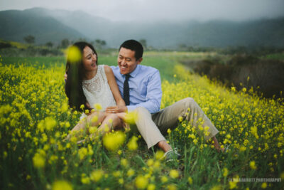 Linda Abbott Photography