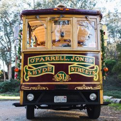 mandi jake offbeat bride 49 - We're heart eyes over this fetching San Francisco wedding in Golden Gate Park We're heart eyes over this fetching wedding in Golden Gate Park