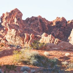 Red hills and panda cookies at this desert wedding in the Valley of Fire
