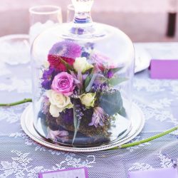 Red hills and panda cookies at this desert Vegas wedding in the Valley of Fire