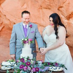 Red hills and panda cookies at this desert Vegas wedding in the Valley of Fire