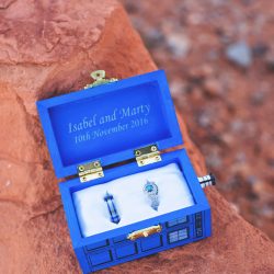Red hills and panda cookies at this desert Vegas wedding in the Valley of Fire