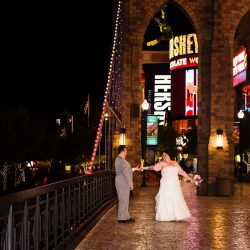 Red hills and panda cookies at this desert Vegas wedding in the Valley of Fire