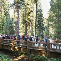 Moore Martinez CJHopperPhotography MiddleEarthWedding1032016 low - Hobbits and elves and eerie mist: this Middle-earth wedding has serious magic Hobbits and elves and eerie mist: this Lord of the Rings wedding has serious magic