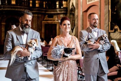 14909934 1319355468094938 6071021170945707350 n1 - Pick yourself up off the floor after seeing these three wedding party dogs Pick yourself up off the floor after seeing these three wedding party pups