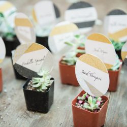 jennifer lourie photography 11 - Singing, succulents, and LEDs at this musical light-up wedding Singing, succulents, and LEDs at this musical light-up wedding