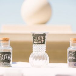 This is the magic that happens when Disney fans get married