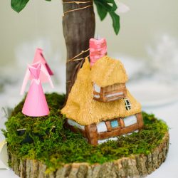 This is the magic that happens when Disney fans get married