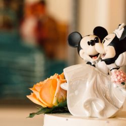 This is the magic that happens when Disney fans get married