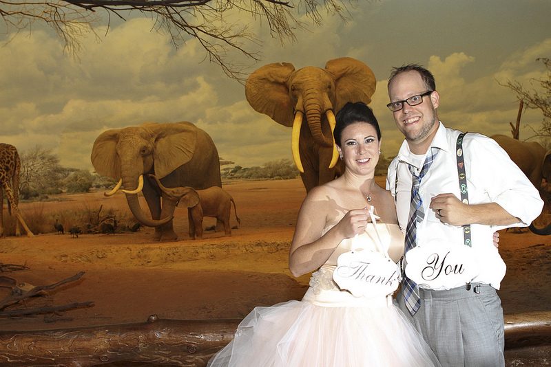Carly & Mike’s elephant-themed wedding at the museum