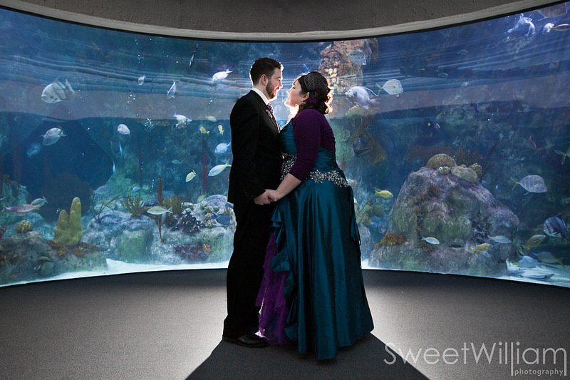 Danielle & Tony’s sharks and dragons aquarium wedding