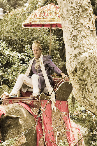Adorable groom riding an elephant