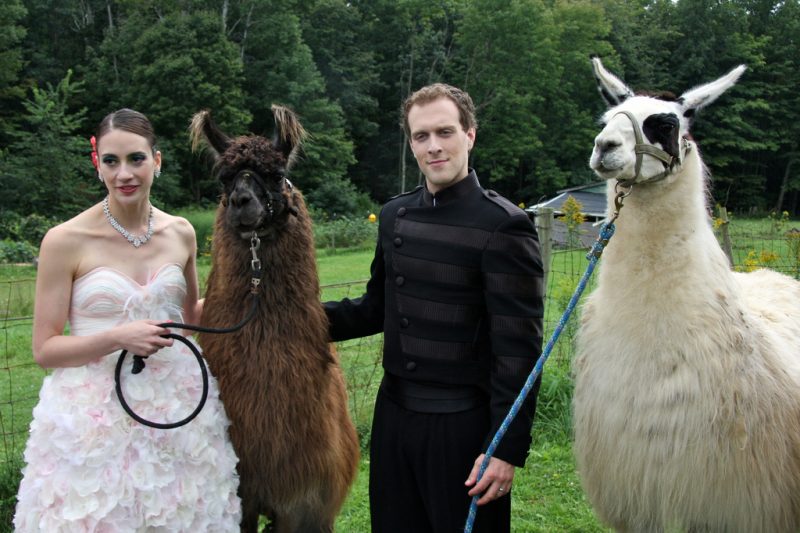 Lauren & Simon’s Llama-Fest handmade vegetarian wedding