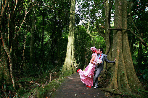 Linda & Stephen’s fairy tale, tea party wedding
