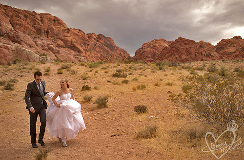 When Star Wars, Doctor Who & cosplayers collide at a Las Vegas wedding, this is the AMAZING result