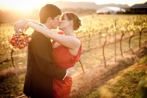 Michelle & Chris’ relaxed vineyard wedding