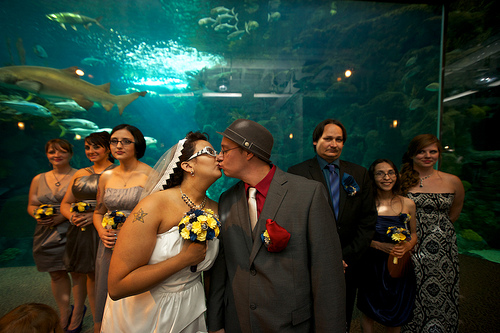 Melissa & Robert’s “anchored in love” underwater adventure wedding