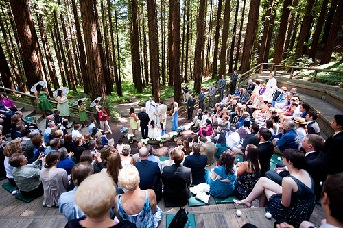 Beth & Matt’s interfaith garden wedding in the trees