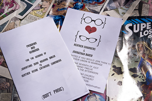 Heather & Johnathan’s nerdy summer picnic wedding
