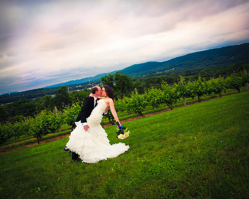 Suzanne & Tim’s Whovian winery wedding