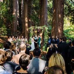 Even wildfires couldn't ruin this redwoods wedding (with the best "cake cutting" EVER!)