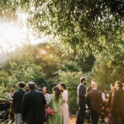Even wildfires couldn't ruin this redwoods wedding (with the best "cake cutting" EVER!)
