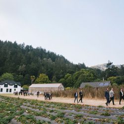 Even wildfires couldn't ruin this redwoods wedding (with the best "cake cutting" EVER!)