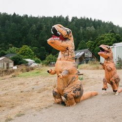 Even wildfires couldn't ruin this redwoods wedding (with the best "cake cutting" EVER!)