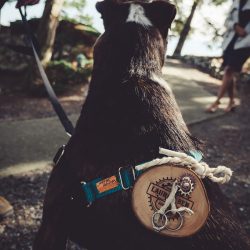 Mills Shumaker SikoraPhotography BenandLauraTBL81of126 low - No shortage of loveliness at this Orcas Island wedding in Washington No shortage of loveliness at this Orcas Island, WA wedding