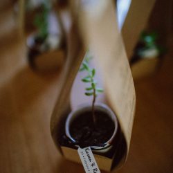 Verano2017 129 - A stunning countryside wedding in the south of Chile A stunning Chile wedding