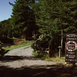 Verano2017 17 - A stunning countryside wedding in the south of Chile A stunning countryside wedding in the South of Chile