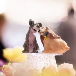 f27Photography StyledShoot 0042 - We got a toothache from this sweet pastel rainbow wedding We got a toothache from this sweet rainbow wedding